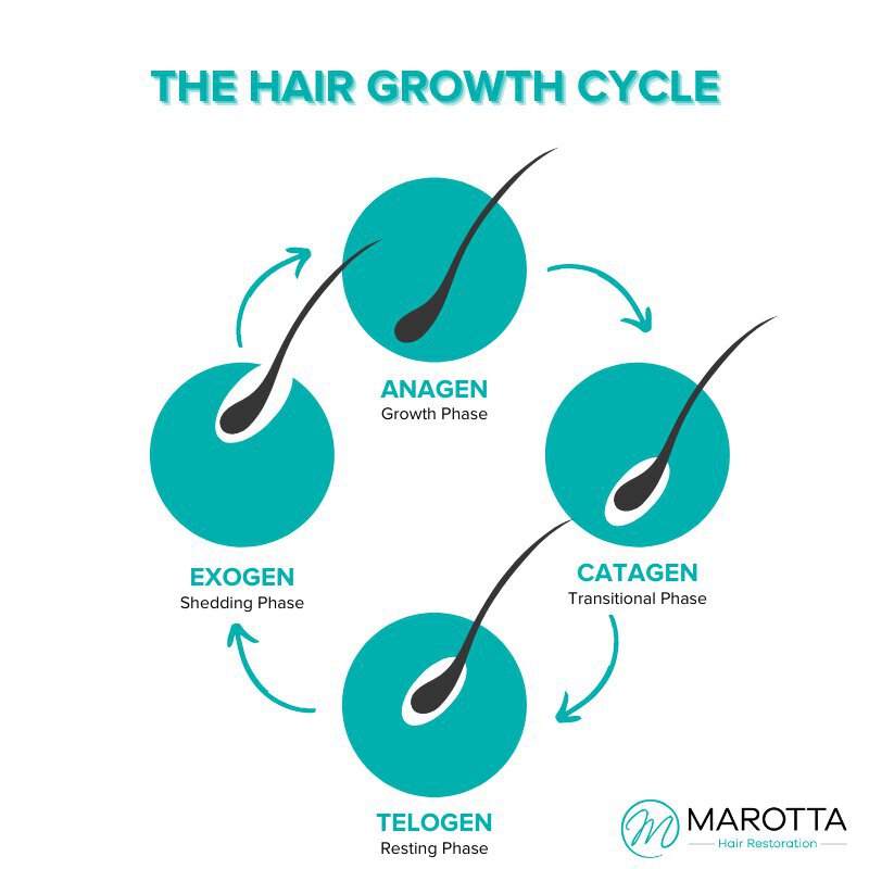Long Island Hair Loss Treatment Growth Cycle